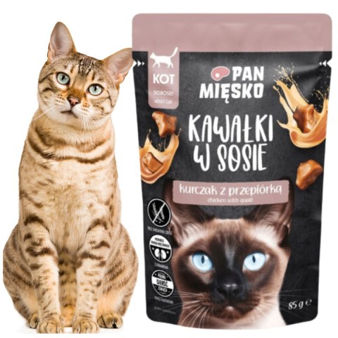 KARMA MOKRA DLA KOTA PAN MIĘSKO SASZETKA KURCZAK PRZEPIÓRKA 85G BEZZBOŻOWA KARMA MOKRA DLA KOTA PAN MIĘSKO SASZETKA KURCZAK PRZEPIÓRKA 85G BEZZBOŻOWA
