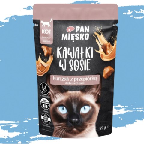 KARMA MOKRA DLA KOTA PAN MIĘSKO SASZETKA KURCZAK PRZEPIÓRKA 85G BEZZBOŻOWA KARMA MOKRA DLA KOTA PAN MIĘSKO SASZETKA KURCZAK PRZEPIÓRKA 85G BEZZBOŻOWA