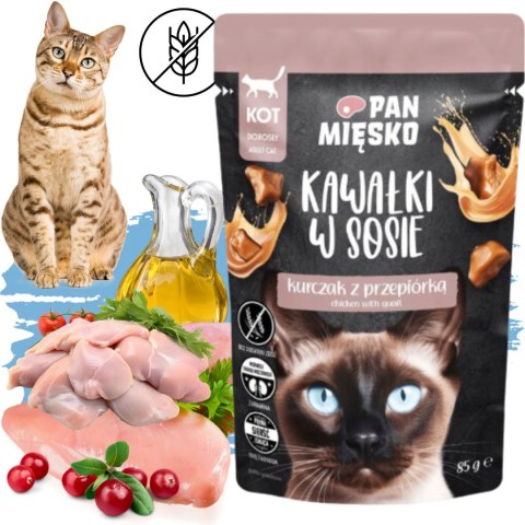 KARMA MOKRA DLA KOTA PAN MIĘSKO SASZETKA KURCZAK PRZEPIÓRKA 85G BEZZBOŻOWA KARMA MOKRA DLA KOTA PAN MIĘSKO SASZETKA KURCZAK PRZEPIÓRKA 85G BEZZBOŻOWA