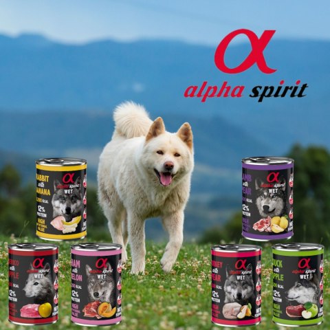 MOKRA KARMA DLA PSA ALPHA SPIRIT ANCHOIS Z JABŁKIEM 400G BEZZBOŻOWA MOKRA KARMA DLA PSA ALPHA SPIRIT ANCHOIS Z JABŁKIEM 400G BEZZBOŻOWA