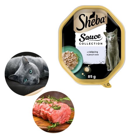 SHEBA Sauce Collection Tacka z Cielęciną w Sosie 85 g KARMA DLA KOTA SHEBA Sauce Collection Tacka z Cielęciną w Sosie 85 g KARMA DLA KOTA