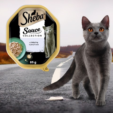SHEBA Sauce Collection Tacka z Cielęciną w Sosie 85 g KARMA DLA KOTA SHEBA Sauce Collection Tacka z Cielęciną w Sosie 85 g KARMA DLA KOTA