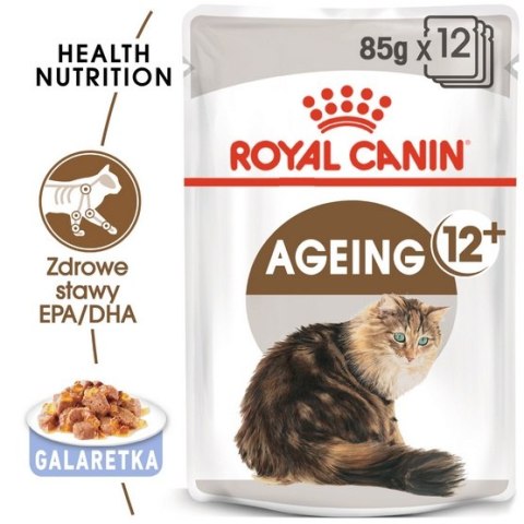 Royal Canin Ageing +12 karma mokra w galaretce dla kotów dojrzałych saszetka 85g Royal Canin Ageing +12 karma mokra w galaretce dla kotów dojrzałych saszetka 85g