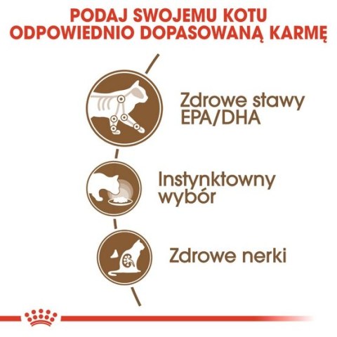 Royal Canin Ageing +12 karma mokra w galaretce dla kotów dojrzałych saszetka 85g Royal Canin Ageing +12 karma mokra w galaretce dla kotów dojrzałych saszetka 85g