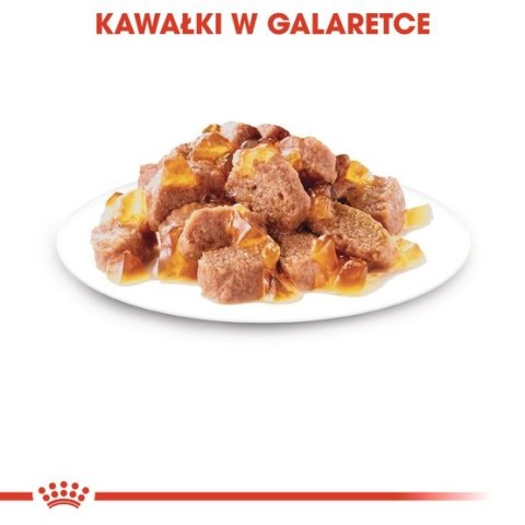 Royal Canin Ageing +12 karma mokra w galaretce dla kotów dojrzałych saszetka 85g Royal Canin Ageing +12 karma mokra w galaretce dla kotów dojrzałych saszetka 85g
