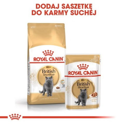 Royal Canin British Shorthair karma mokra w sosie dla kotów dorosłych rasy brytyjski krótkowłosy saszetka 85g Royal Canin British Shorthair karma mokra w sosie dla kotów dorosłych rasy brytyjski krótkowłosy saszetka 85g