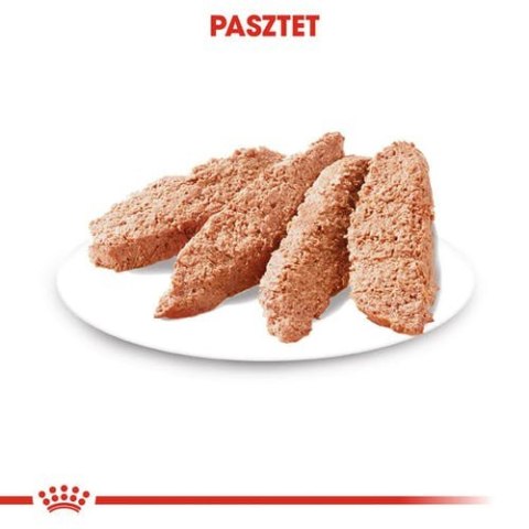 Royal Canin Digestive Care karma mokra dla psów dorosłych, wszystkich ras o wrażliwym przewodzie pokarmowym saszetka 85g Royal Canin Digestive Care karma mokra dla psów dorosłych, wszystkich ras o wrażliwym przewodzie pokarmowym saszetka 85g