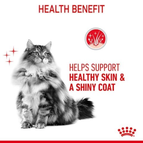Royal Canin Hair & Skin Care w sosie karma mokra dla kotów dorosłych, zdrowa skóra, piękna sierść saszetka 85g Royal Canin Hair & Skin Care w sosie karma mokra dla kotów dorosłych, zdrowa skóra, piękna sierść saszetka 85g