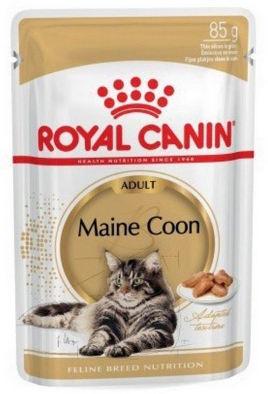 Royal Canin Maine Coon karma mokra w sosie dla kotów dorosłych rasy maine coon saszetka 85g Royal Canin Maine Coon karma mokra w sosie dla kotów dorosłych rasy maine coon saszetka 85g