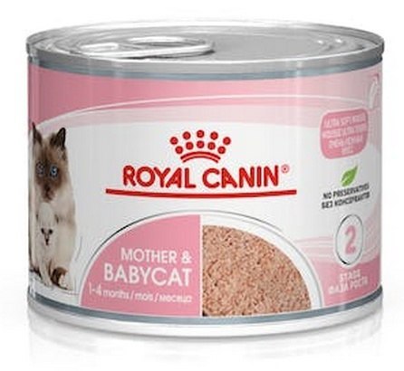 Royal Canin Mother & Babycat Mousse karma mokra - mus dla kociąt i kotek karmiących puszka 195g Royal Canin Mother & Babycat Mousse karma mokra - mus dla kociąt i kotek karmiących puszka 195g
