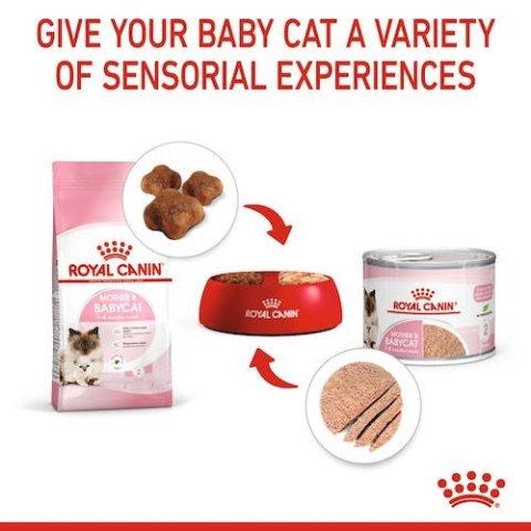 Royal Canin Mother & Babycat Mousse karma mokra - mus dla kociąt i kotek karmiących puszka 195g Royal Canin Mother & Babycat Mousse karma mokra - mus dla kociąt i kotek karmiących puszka 195g