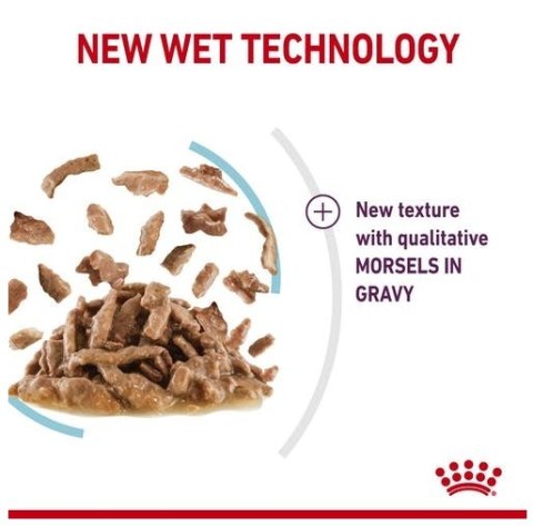 Royal Canin Sensory Feel w sosie karma mokra dla kotów dorosłych saszetka 85g Royal Canin Sensory Feel w sosie karma mokra dla kotów dorosłych saszetka 85g