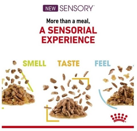 Royal Canin Sensory Feel w sosie karma mokra dla kotów dorosłych saszetka 85g Royal Canin Sensory Feel w sosie karma mokra dla kotów dorosłych saszetka 85g