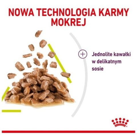 Royal Canin Sensory Smell w sosie karma mokra dla kotów dorosłych saszetka 85g Royal Canin Sensory Smell w sosie karma mokra dla kotów dorosłych saszetka 85g