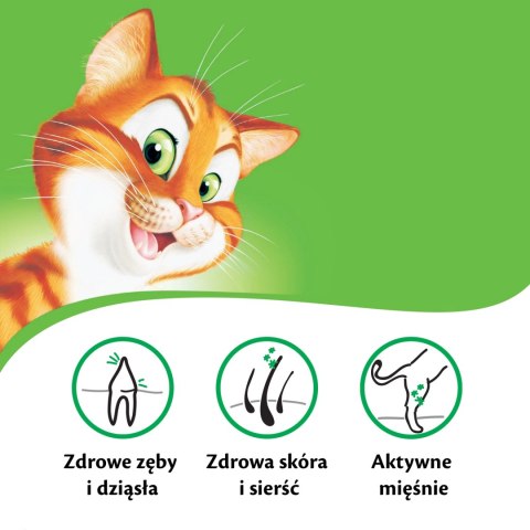 KITEKAT Sucha Karma Dla Kotów Z Wołowiną I Warzywami 12kg KITEKAT Sucha Karma Dla Kotów Z Wołowiną I Warzywami 12kg