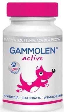Tymofarm Gammolen Active 90 Tabletek