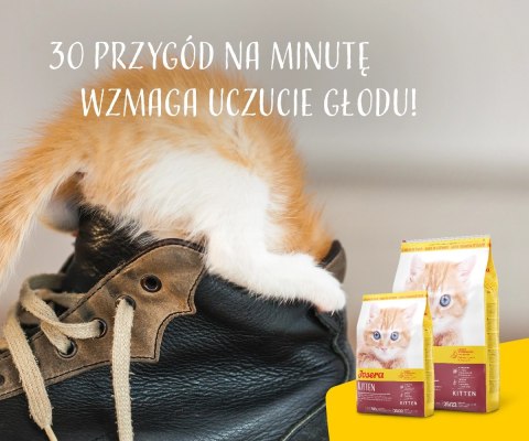 Josera Kitten 10kg