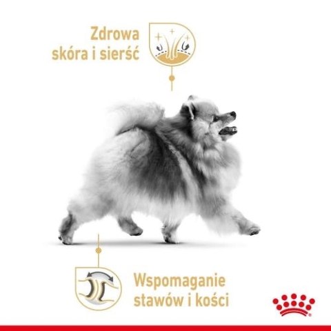 ROYAL CANIN Pomeranian 12x85g ROYAL CANIN Pomeranian 12x85g