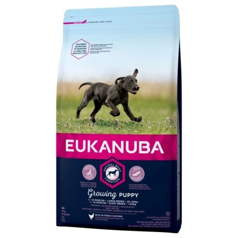 Eukanuba Puppy&Junior Large Breed 15kg Eukanuba Puppy&Junior Large Breed 15kg