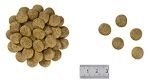 ROYAL CANIN Renal Special Canine 10kg ROYAL CANIN Renal Special Canine 10kg