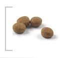 ROYAL CANIN Sterilised 37 400g ROYAL CANIN Sterilised 37 400g