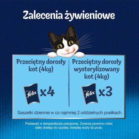Felix Fantastic Karma dla kotów rybne smaki w galaretce 340 g (4 x 85 g)
