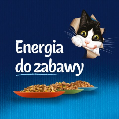 Felix Fantastic Karma dla kotów rybne smaki w galaretce 340 g (4 x 85 g)