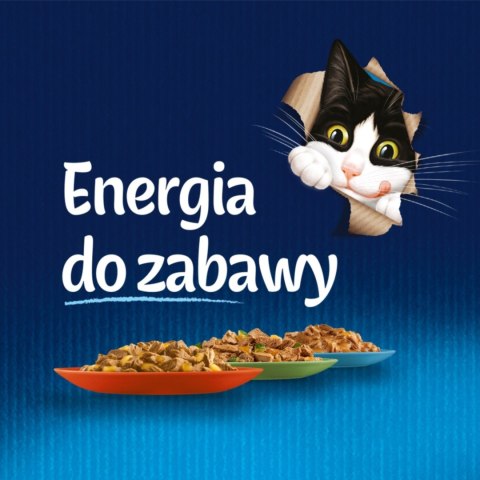 Felix Sensations Jellies Karma dla kotów z kaczką ze szpinakiem gal. 85 g