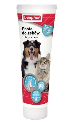 BEAPHAR Pasta Do Zębów Dla Psów I Kotów O Smaku Mięsa 100g BEAPHAR Pasta Do Zębów Dla Psów I Kotów O Smaku Mięsa 100g