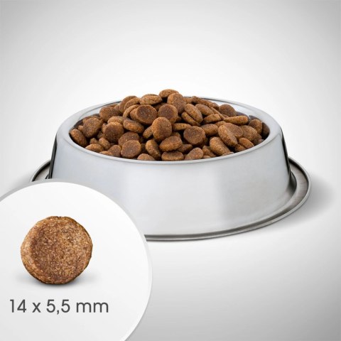 Perfect Fit™ - sucha karma pełnoporcjowa dla dorosłych psów średnich i dużych ras, bogata w kurczaka 6kg Perfect Fit™ - sucha karma pełnoporcjowa dla dorosłych psów średnich i dużych ras, bogata w kurczaka 6kg