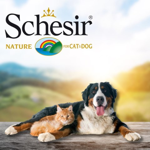 KARMA MOKRA DLA KOTA Schesir saszetka 50g Filety z kurczaka z szynką WŁOSKA KARMA MOKRA DLA KOTA Schesir saszetka 50g Filety z kurczaka z szynką WŁOSKA