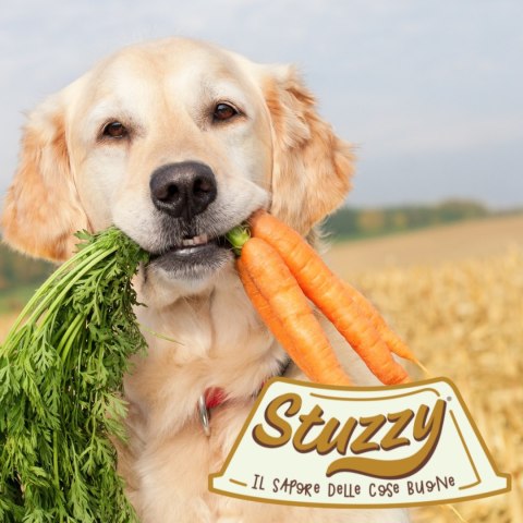 KARMA MOKRA DLA PSA Stuzzy saszetka 150g Monoprotein - wołowina i borówki