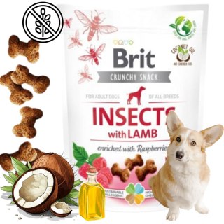 Przysmak dla Psa BRIT Care INSECTS Dog Snacks JAGNIĘCINA Lamb Owady 200g