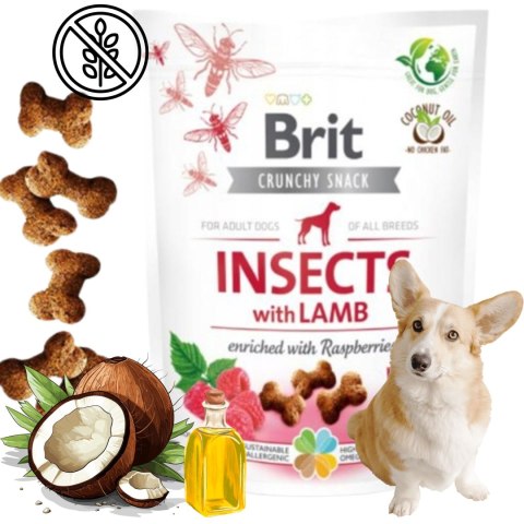 Przysmak dla Psa BRIT Care INSECTS Dog Snacks JAGNIĘCINA Lamb Owady 200g Przysmak dla Psa BRIT Care INSECTS Dog Snacks JAGNIĘCINA Lamb Owady 200g