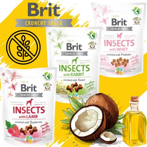 Przysmak dla Psa BRIT Care INSECTS Dog Snacks JAGNIĘCINA Lamb Owady 200g Przysmak dla Psa BRIT Care INSECTS Dog Snacks JAGNIĘCINA Lamb Owady 200g