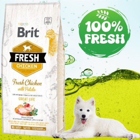 SUCHA KARMA DLA PSA KURCZAK KOLAGEN BRIT FRESH ADULT CHICKEN&POTATO 2,5KG SUCHA KARMA DLA PSA KURCZAK KOLAGEN BRIT FRESH ADULT CHICKEN&POTATO 2,5KG