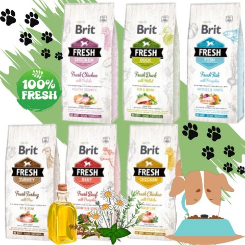 SUCHA KARMA DLA PSA KURCZAK KOLAGEN BRIT FRESH ADULT CHICKEN&POTATO 2,5KG SUCHA KARMA DLA PSA KURCZAK KOLAGEN BRIT FRESH ADULT CHICKEN&POTATO 2,5KG