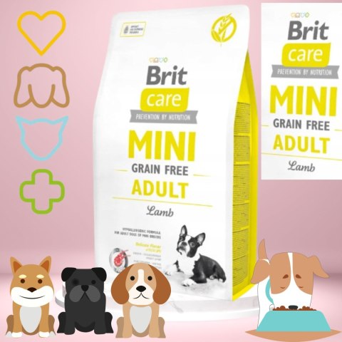 Sucha karma dla psa Brit Care Mini Grain Free Adult Lamb z jagnięciną 2 kg Sucha karma dla psa Brit Care Mini Grain Free Adult Lamb z jagnięciną 2 kg