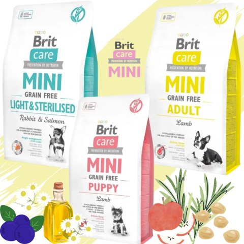 Sucha karma dla psa Brit Care Mini Grain Free Adult Lamb z jagnięciną 2 kg Sucha karma dla psa Brit Care Mini Grain Free Adult Lamb z jagnięciną 2 kg