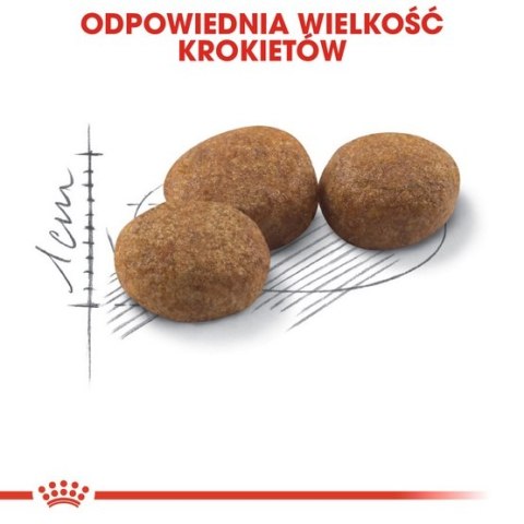Royal Canin Sterilised karma sucha dla kotów dorosłych, sterylizowanych 10kg Royal Canin Sterilised karma sucha dla kotów dorosłych, sterylizowanych 10kg