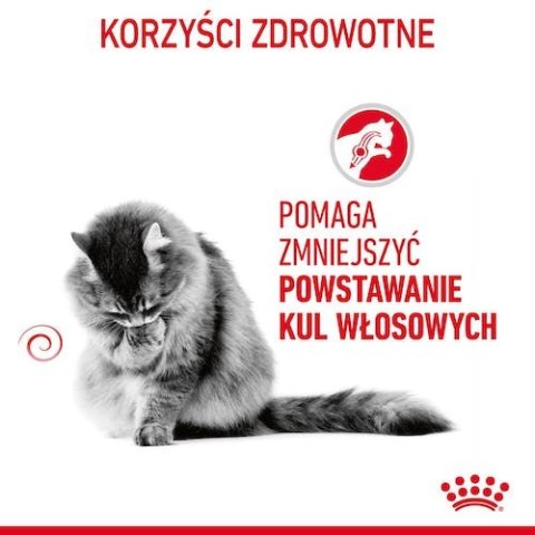 Royal Canin Hairball Care karma sucha dla kotów dorosłych, eliminacja kul włosowych 400g Royal Canin Hairball Care karma sucha dla kotów dorosłych, eliminacja kul włosowych 400g